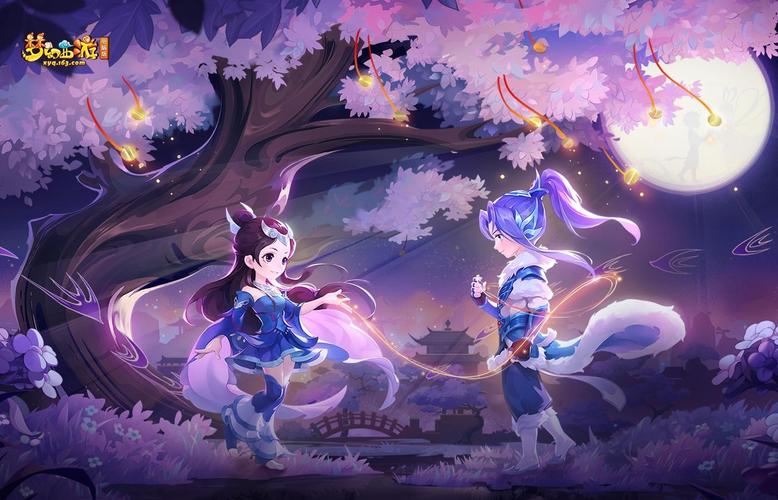 站群教程教学视频下载